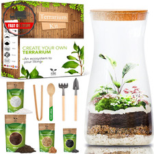 DIY Terrarium Kit for Plants -
