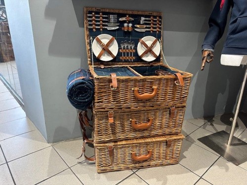 Picnic hamper person blue - picnic,