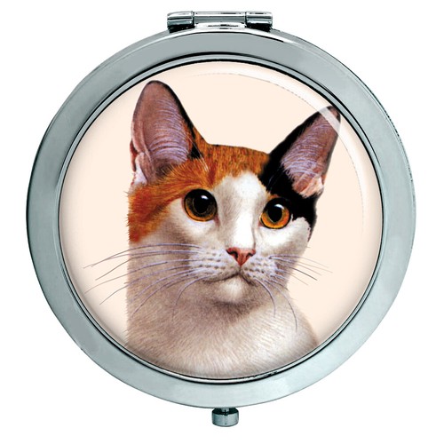 Bobtail cat compact - compact, mirror
