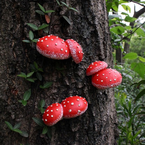 Set red toadstool - of,