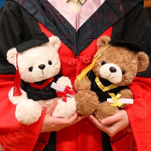 Cute graduate bear plush - cute, dr.