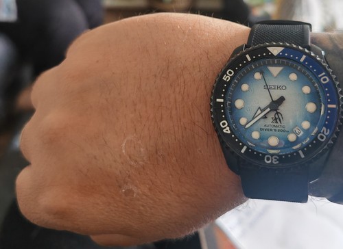 Seiko mod watch - seiko,