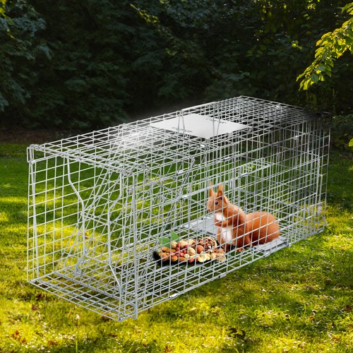 Heavy duty live animal - 31",