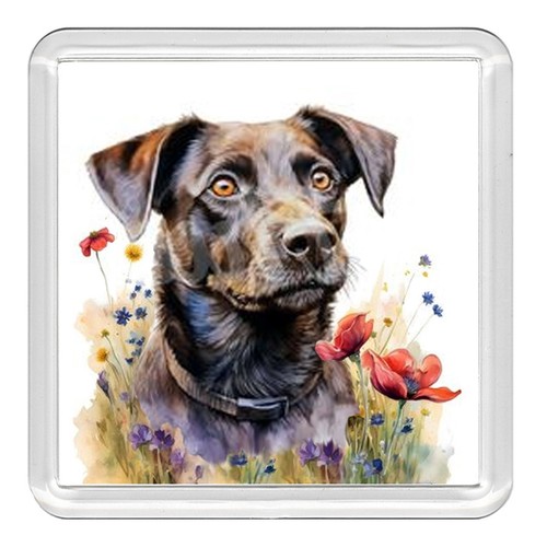 Patterdale terrier dog acrylic - patterdale,
