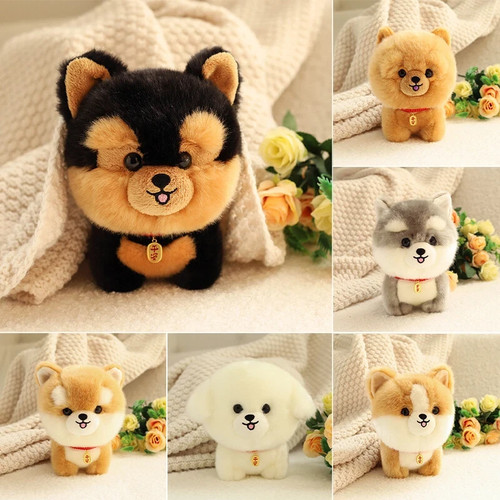 Cute fluffy corgi - cute, plush