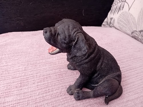 Leonardo black labrador dog - labrador,