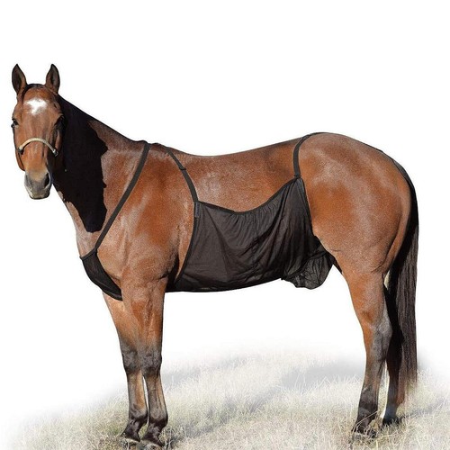 Horse belly protector - horse,