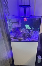 170ltres Red sea Reefer tank . full marine setup with fishes and corals