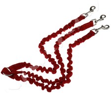 3 Way Triple Coupler Pet Dog