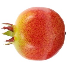  Halloween Car Decoration