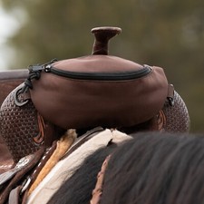 Horse Saddle Bag, Brown Pommel