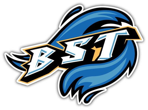 Bridgeport sound tigers minor - bridgeport,