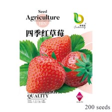 200 Giant Strawberry Seeds - Sweet And Delicious - Large Garden Fruit Plant UK