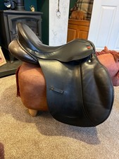 Immaculate Albion Kontrol GP