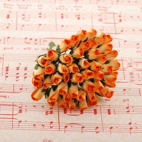 Orange and cream mulberry - orange,