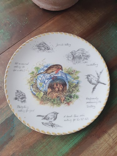 Wedgwood danbury mint - mint,