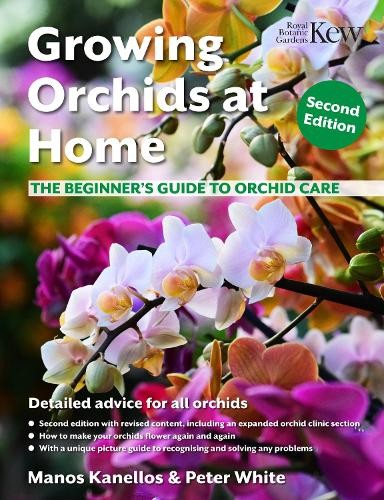 Growing orchids home - orchids,