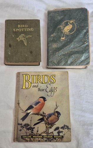 Vintage bird - vintage,