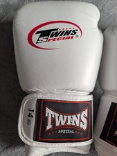 Twins Muay Thai Boxing Gloves