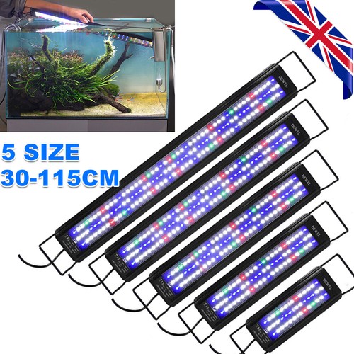 105cm aquarium fish tank - fish,