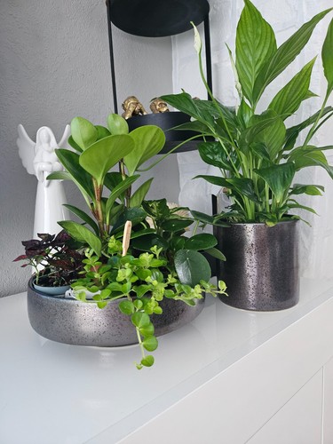 Vintage flower pot - vintage,