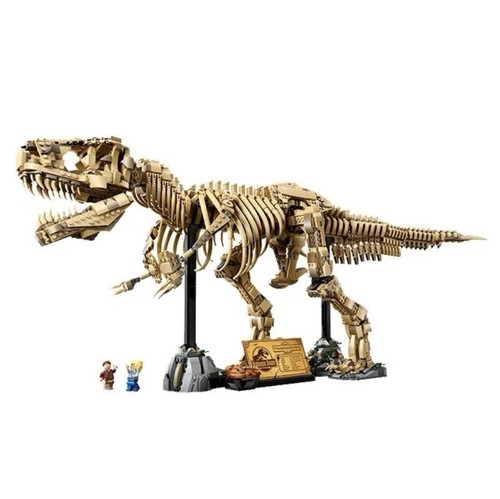 Dinosaur fossils - dinosaur,