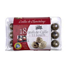 Fresh quail eggs 18 - eggs, x