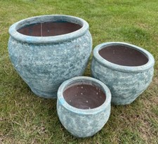 Clay planters plant - clay, flower