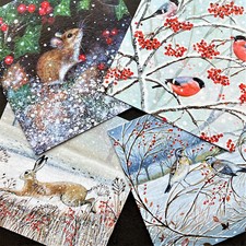 4 Rabbit Mouse Bird Hare