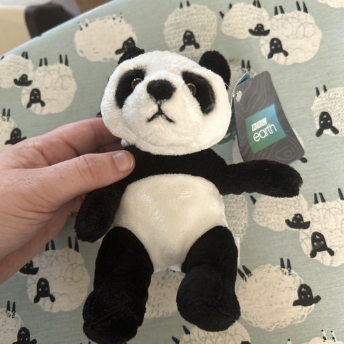 Posh paws bbc earth - paws, panda