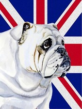 Bulldog union jack - bulldog,