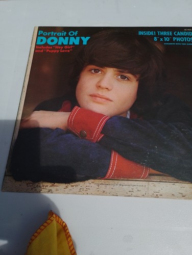 Donny osmond portrait - osmond,,