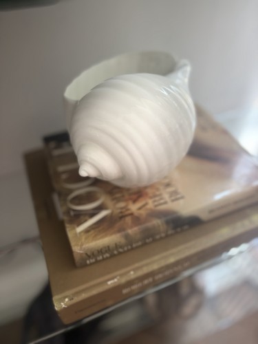 Pair wedgwood nautilus bone - wedgwood,