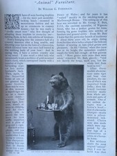 Taxidermy Taxidermist Rare Old