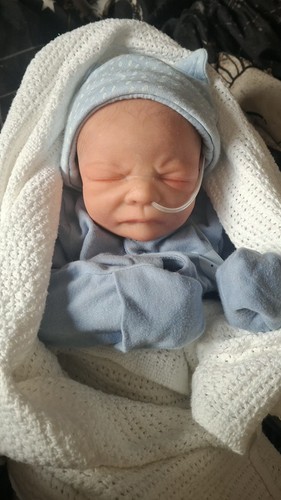Reborn jacob - reborn,