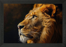 Lion head portrait Framed Wall