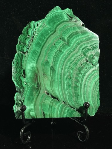 Large 350g 12cm 8cm - large,