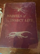 1915 Hutchinson & Co Marvels