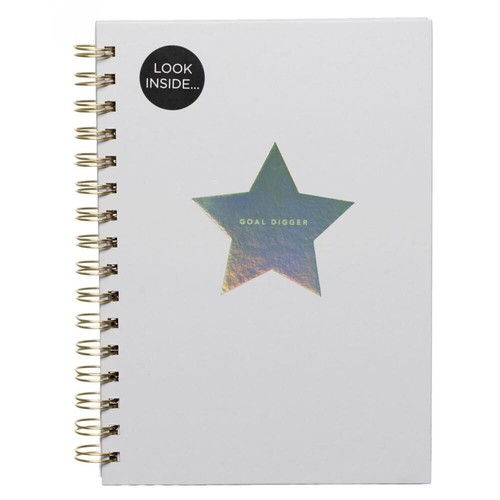 Goal digger inspirational - goal,