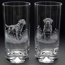Labrador Dog Highball Glass - Hand Etched/Engraved Gift