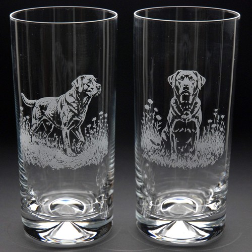 Labrador dog highball glass - dog,