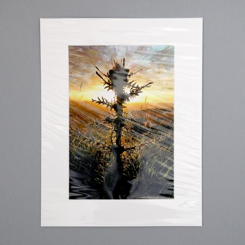 Mounted giclée art print - mounted,
