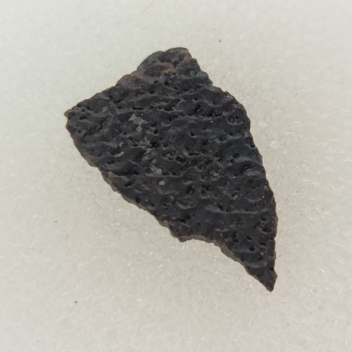 Hadrosaur egg shell fossil - egg,