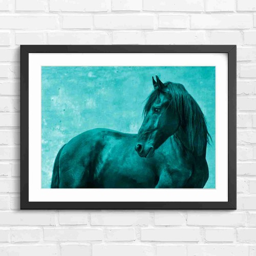 Black friesian horse profile - friesian,