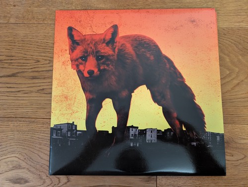 The prodigy day is - -, my