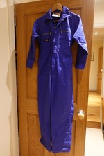 Dickies Redhawk Kids Blue