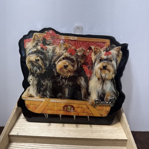Yorkshire terrier puppies - yorkshire,