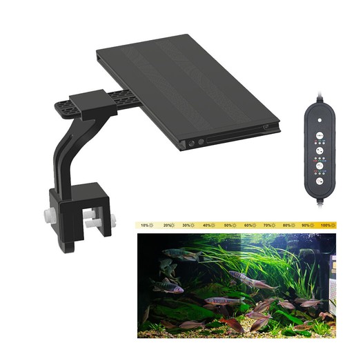 Clip full spectrum - clip,