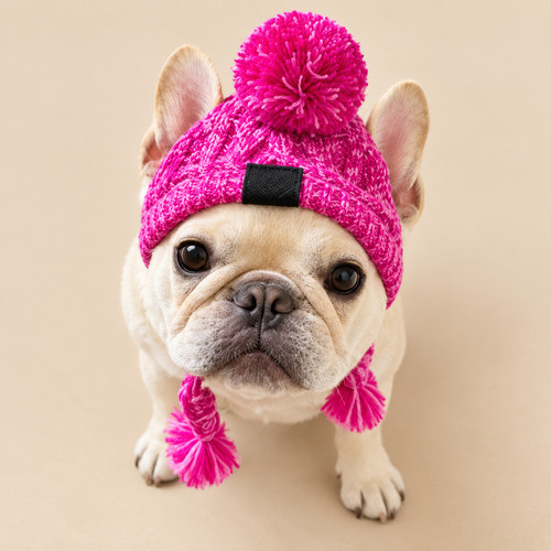 Bright pink knitted dog hat - bright,