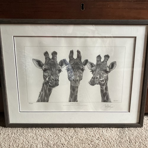 Kevin hayler signed - kevin,